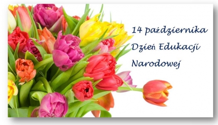 Kolorowe tulipany dzień Edukacji Narodowej
